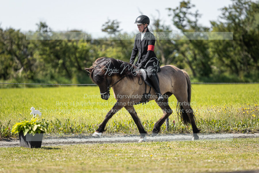 MG_5508