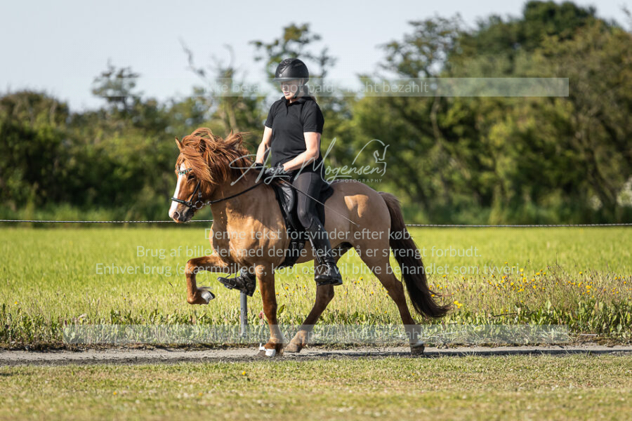 MG_3733
