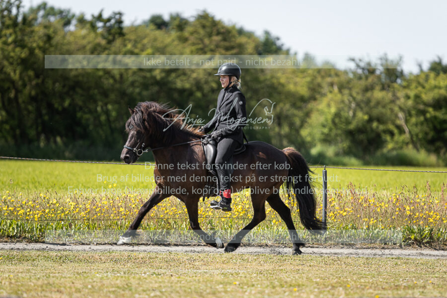 MG_5364