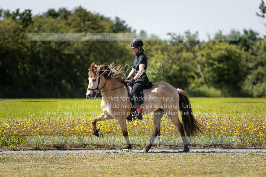 MG_5761