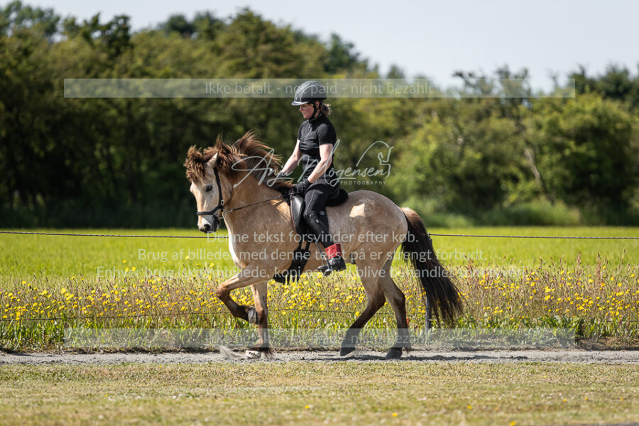 MG_5764