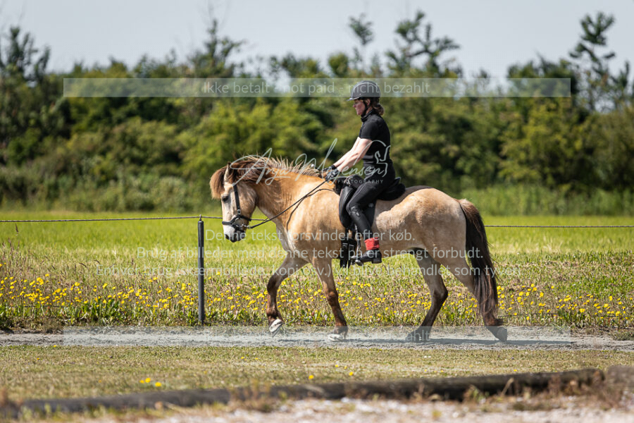 MG_5806