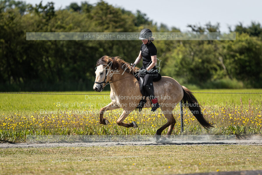 MG_5839