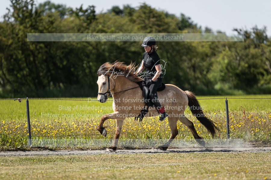 MG_5841