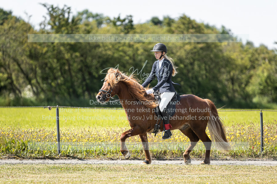 MG_5923
