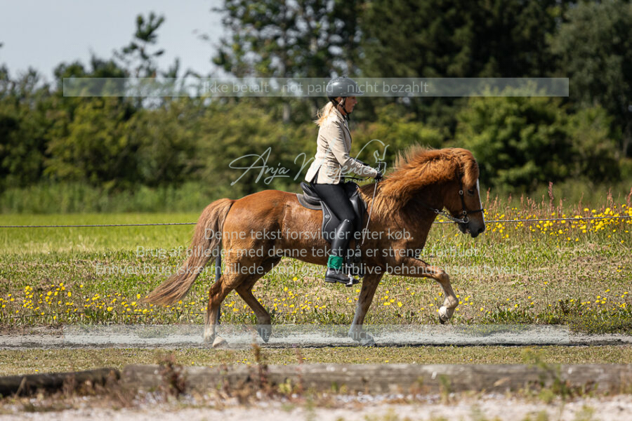 MG_5677