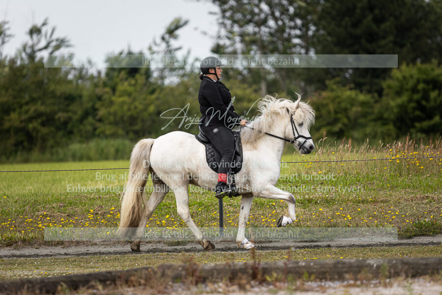 MG_1202