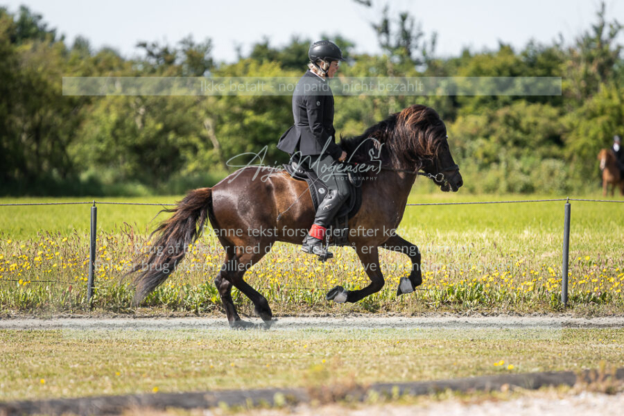 MG_5107