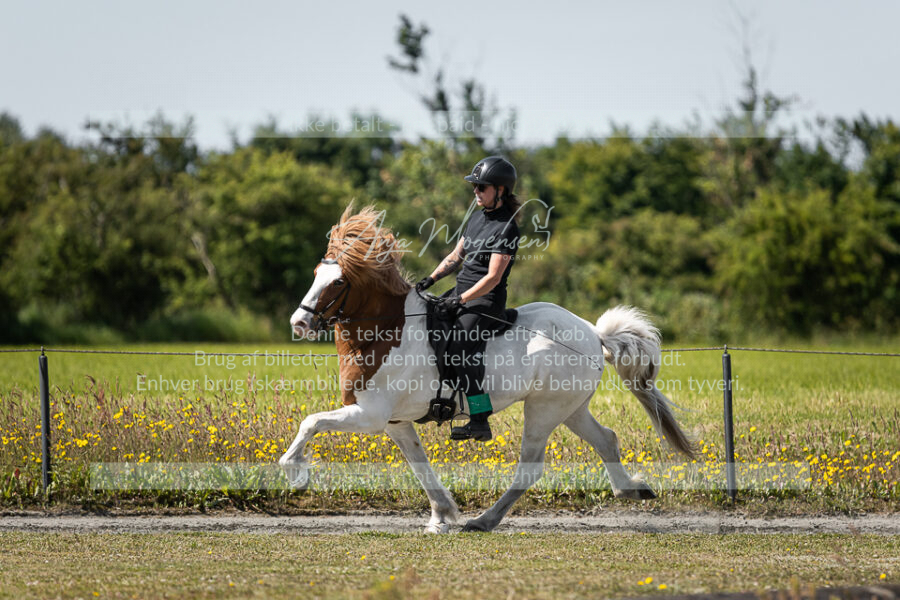 MG_5596