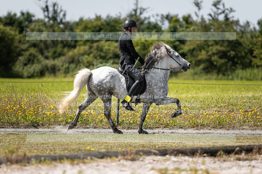 MG_6223