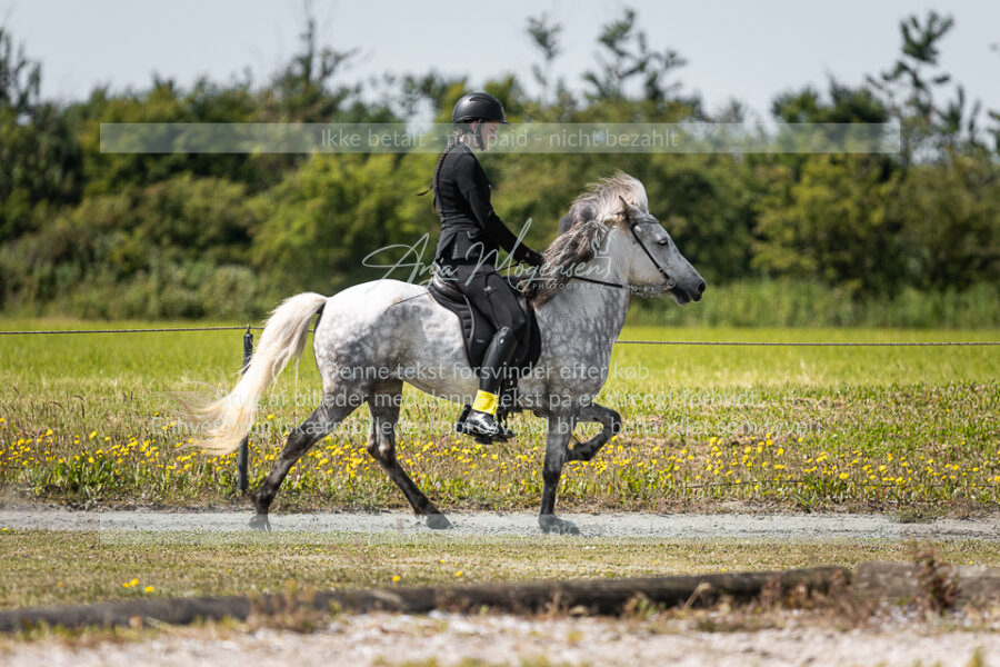 MG_6226