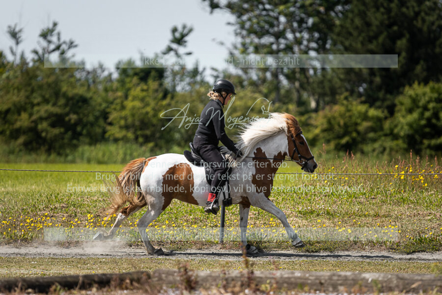 MG_6169