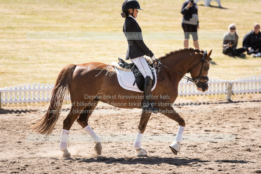 MG_0201