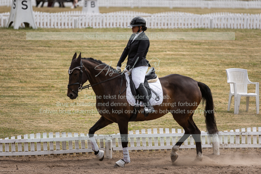 MG_1677