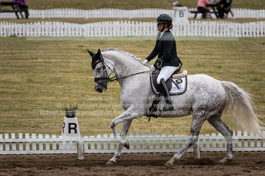 MG_0111