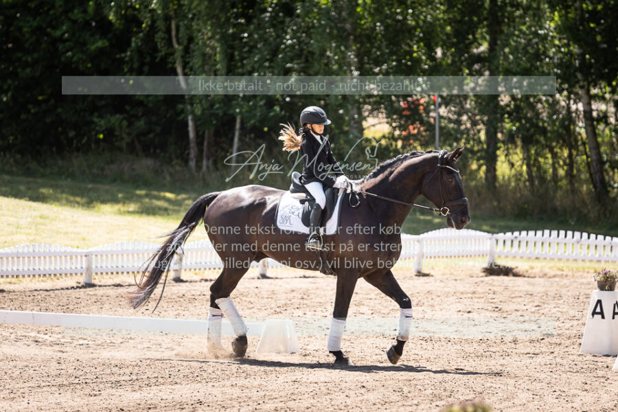 MG_0964