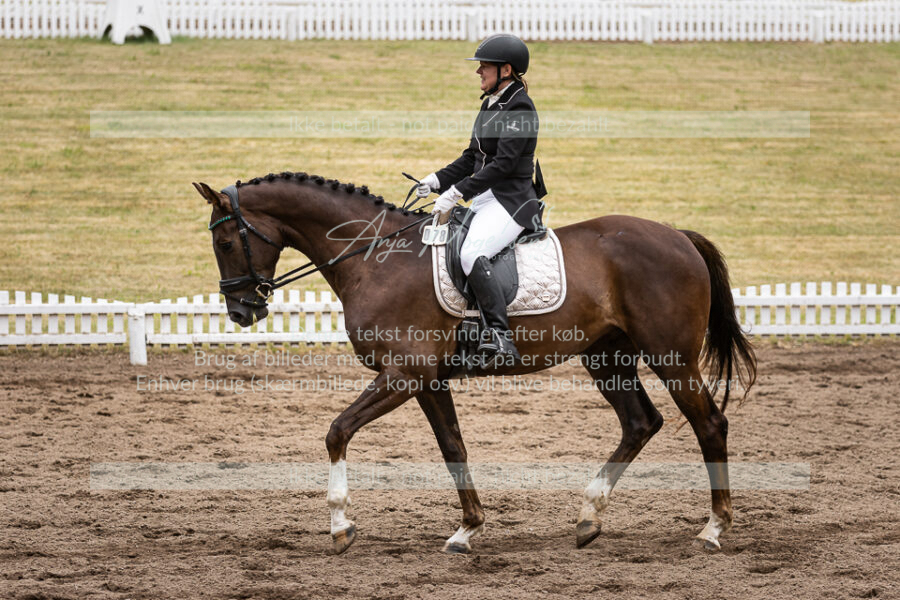 MG_6909