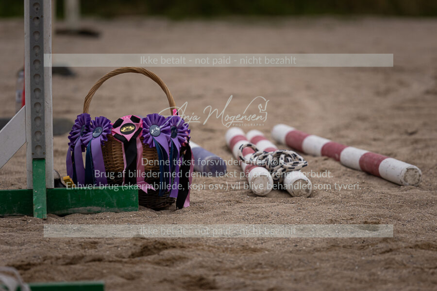 MG_2912