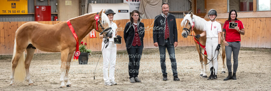 MG_9582-Edit