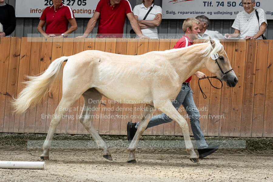 MG_6799-VRH-2