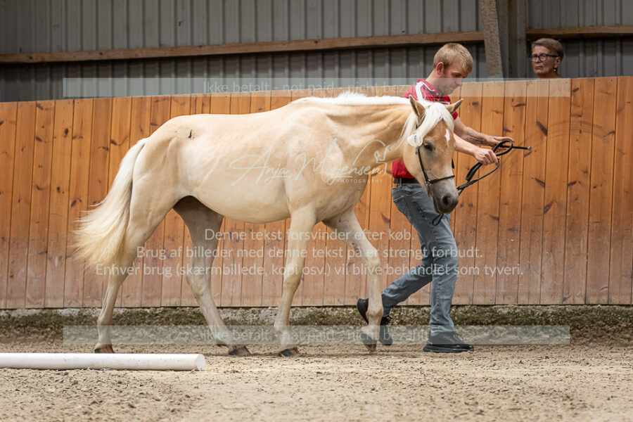 MG_6825-VRH-2