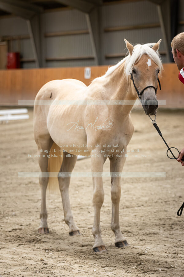 MG_6830-VRH-2