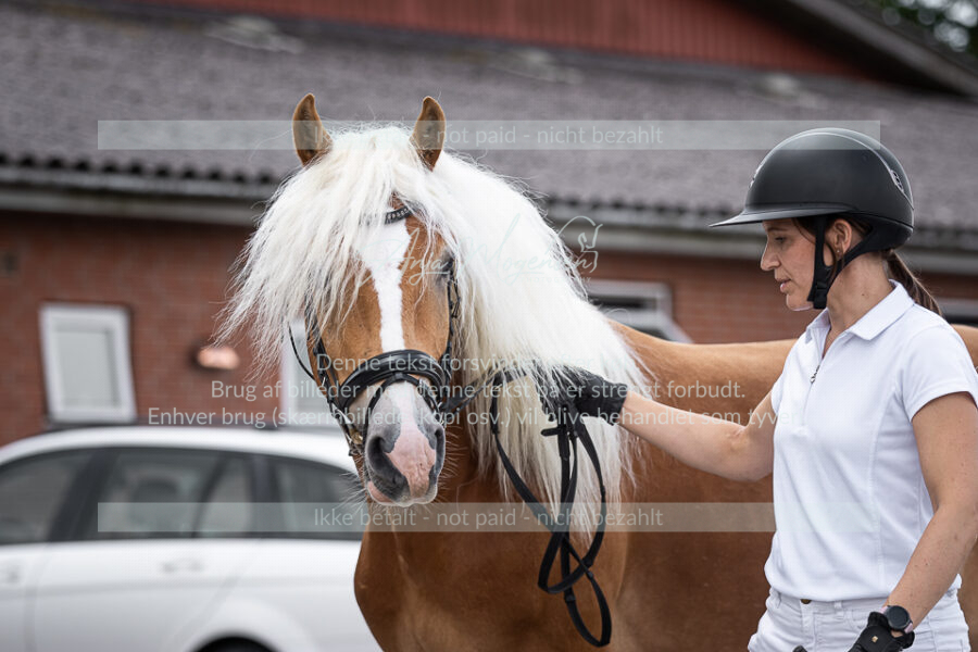 MG_6366