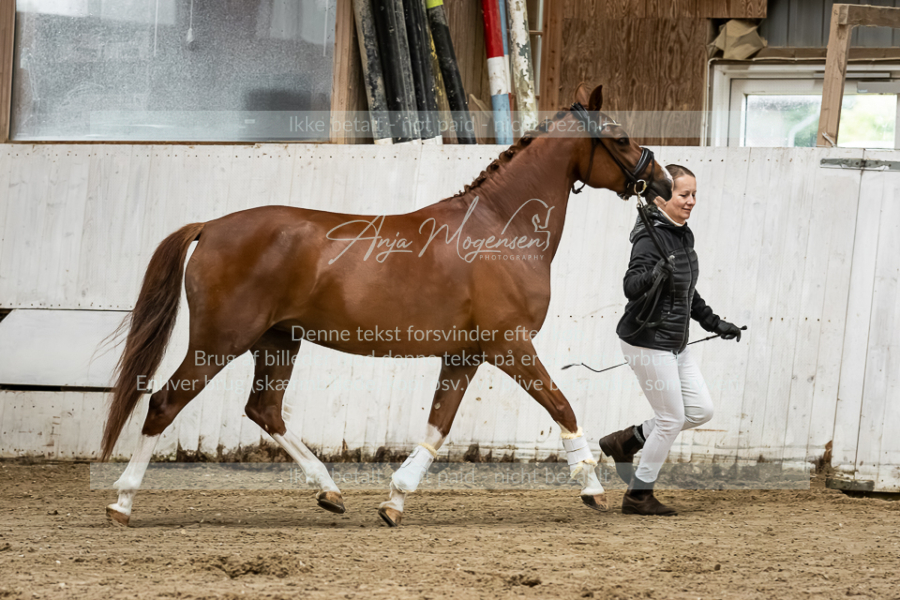 MG_0799