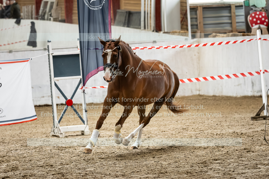 MG_0863