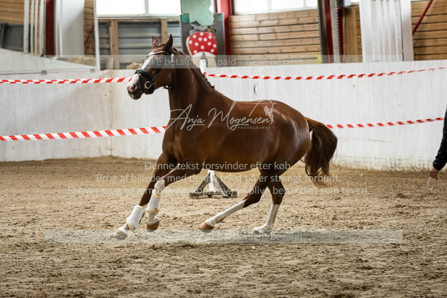 MG_0933