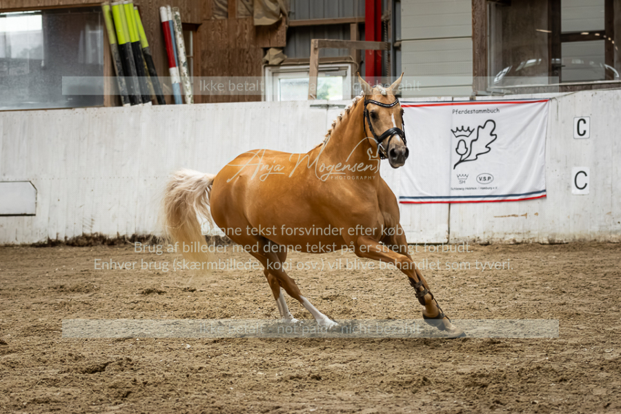 MG_1093