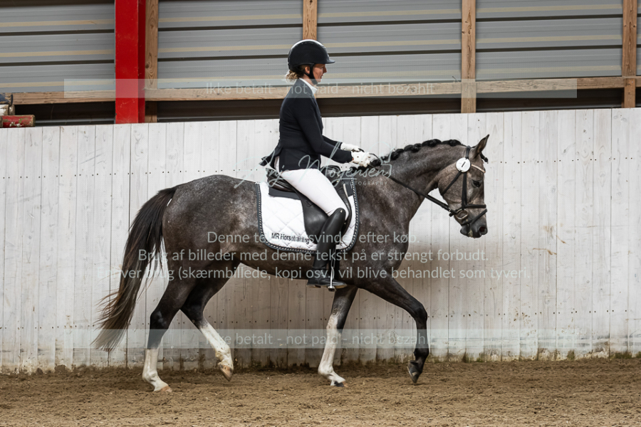 MG_3013