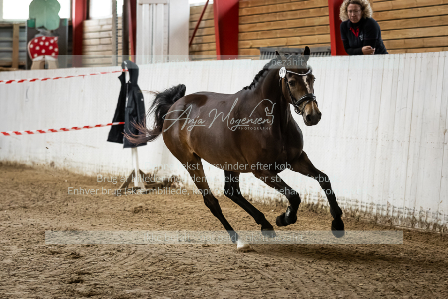 MG_0507