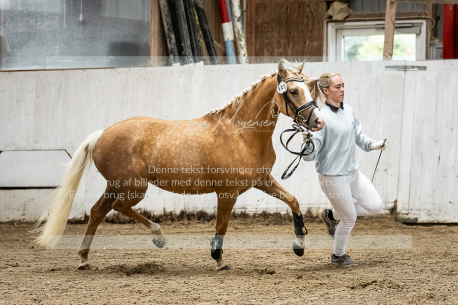 MG_0604