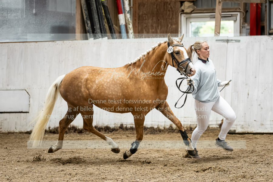 MG_0605