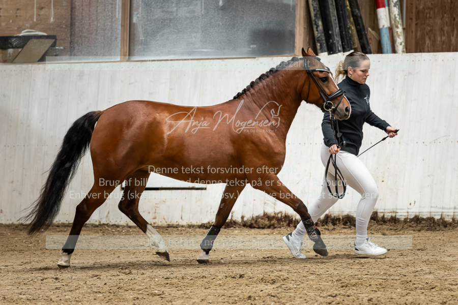 MG_1180