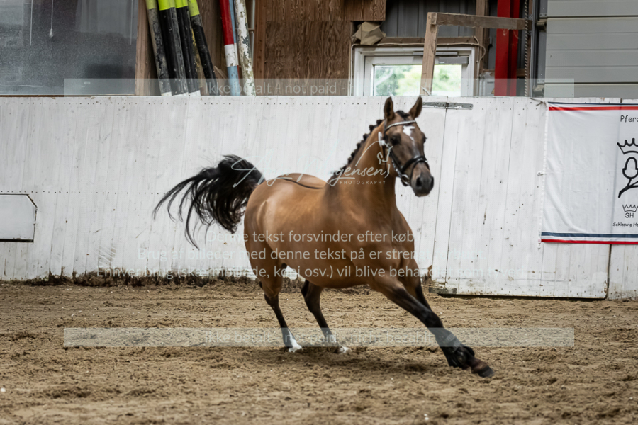 MG_2018