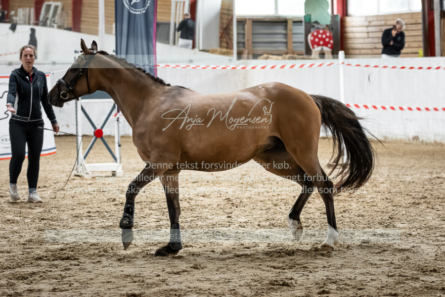 MG_2023