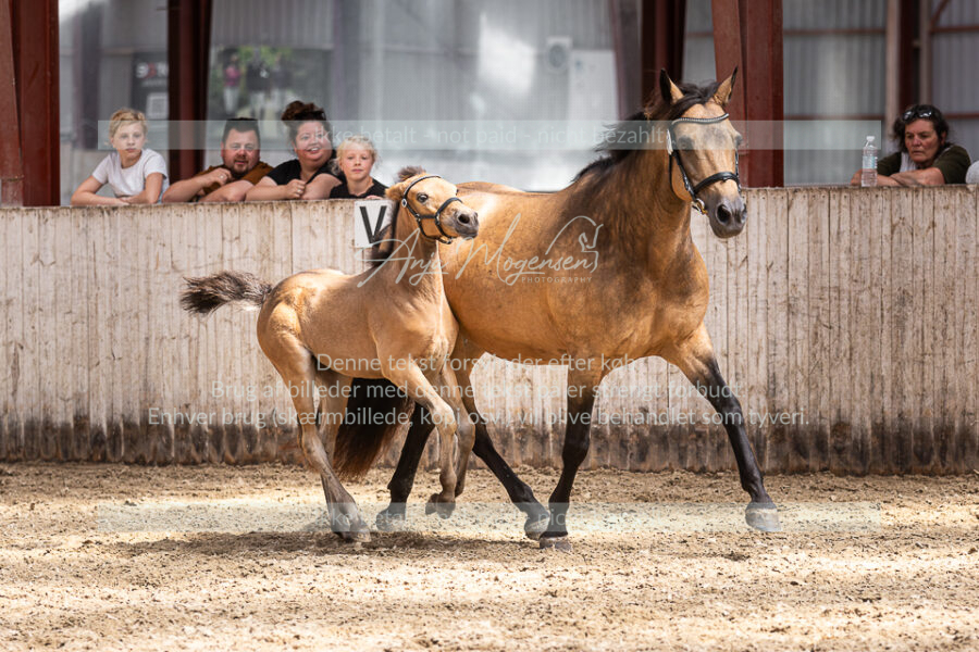 MG_3261