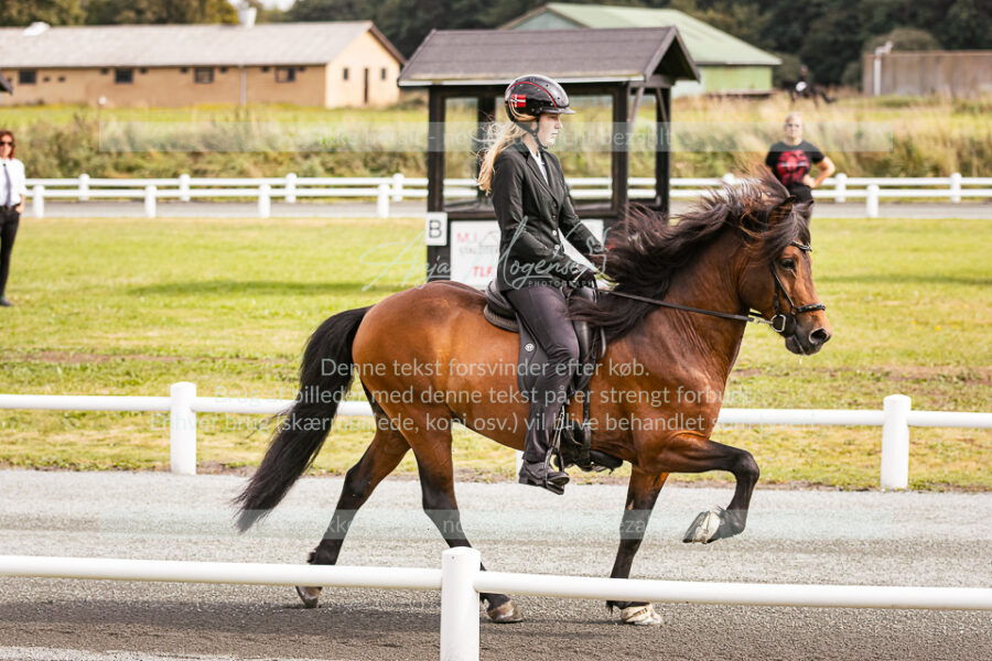 MG_8614
