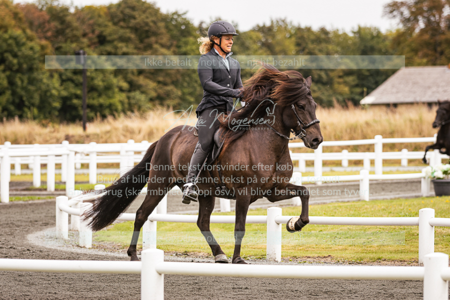 MG_6347