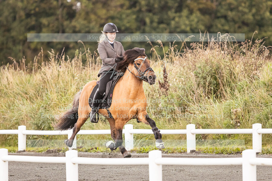 MG_0530