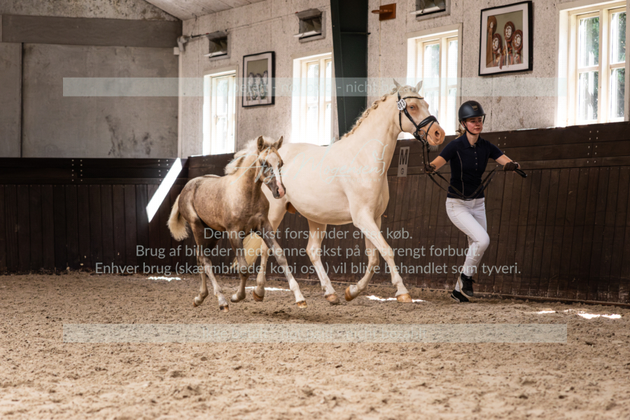 MG_0609