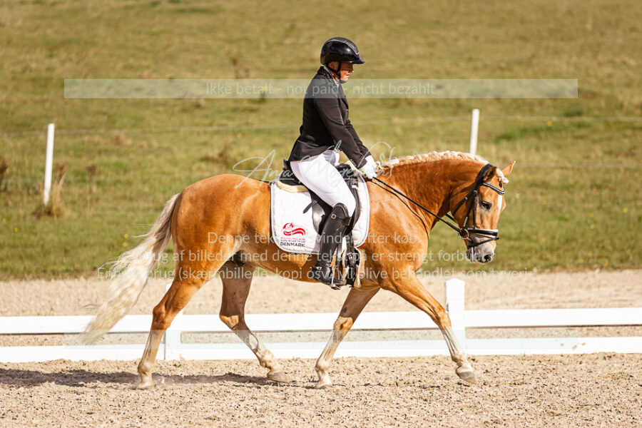 MG_1909