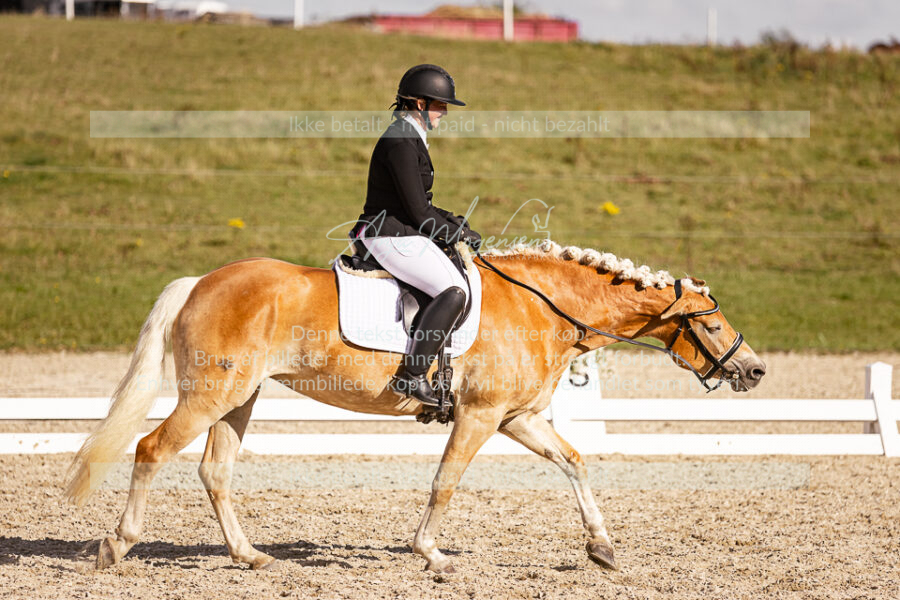MG_2018