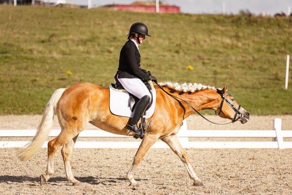 MG_2019