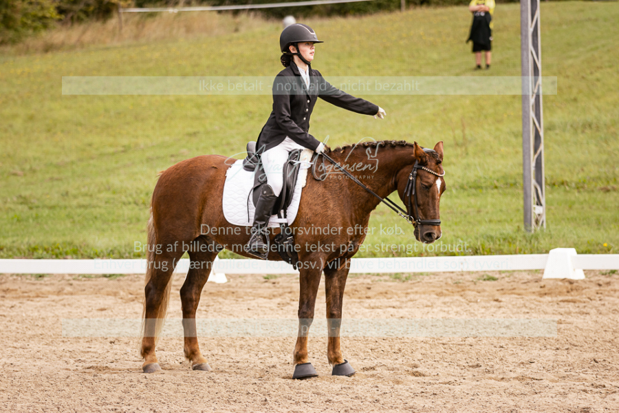 MG_3820