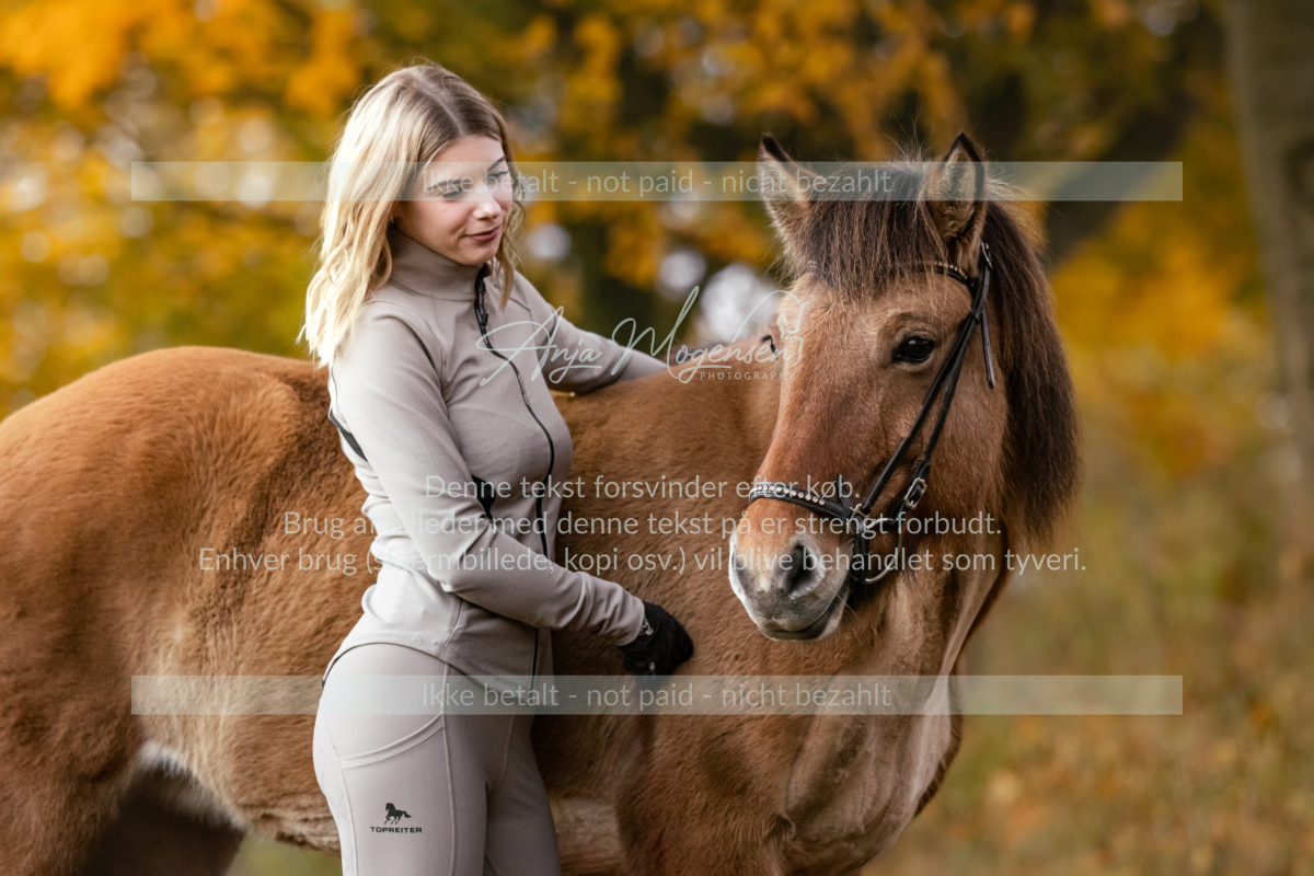 MG_7481-Edit-Edit