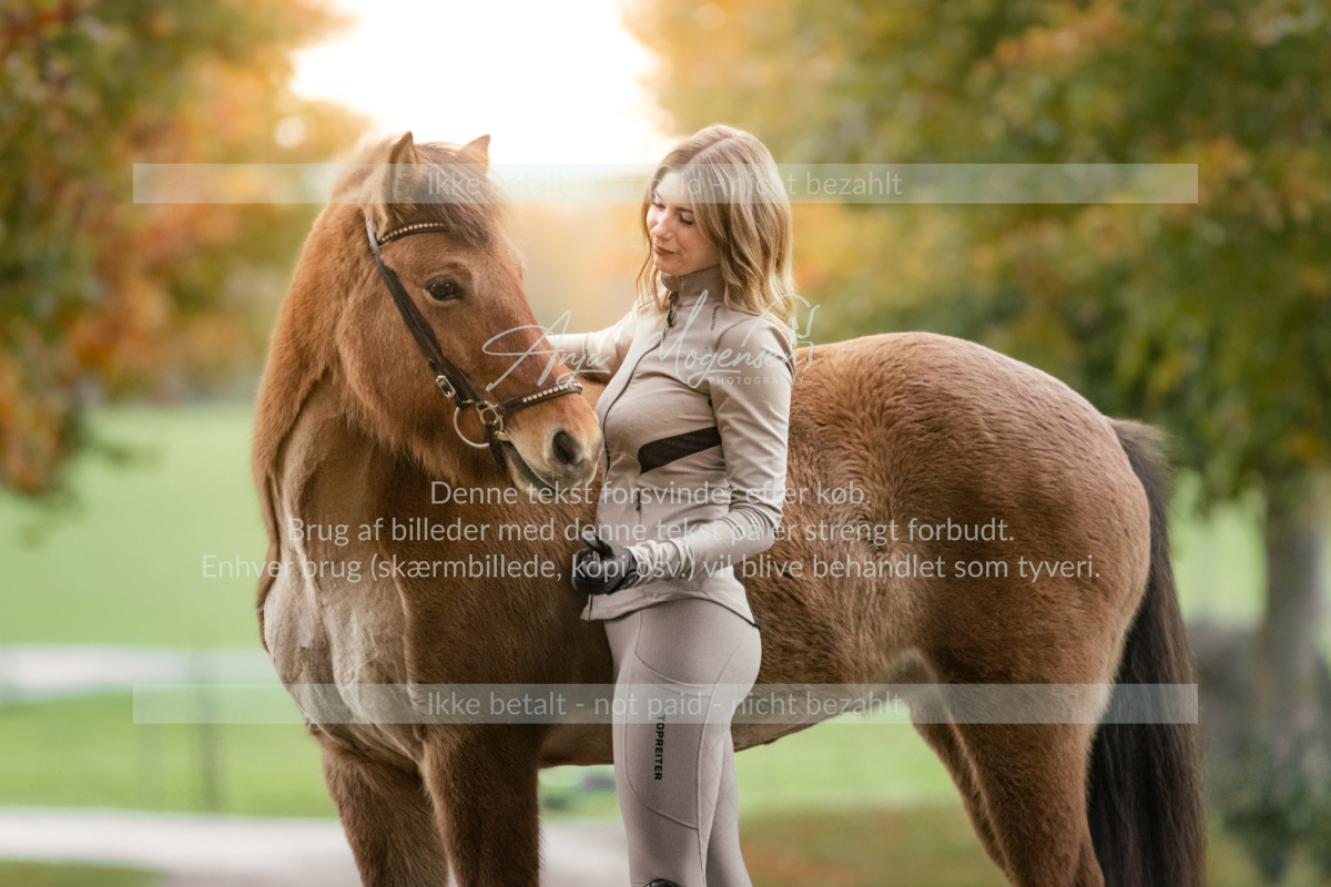 MG_7545-Edit