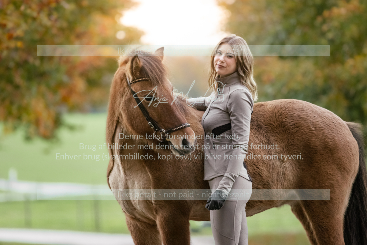 MG_7552-Edit
